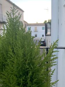 VIVIENDA con fines turísticos La Barbacana del Salvador