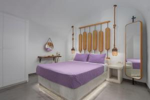 Exclusive Plan Suites Santorini Greece