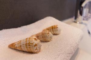 °° VILLA ANNA°° img44