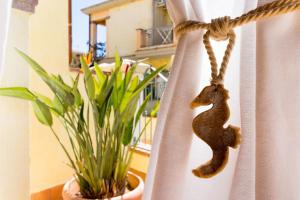 °° VILLA ANNA°° img26