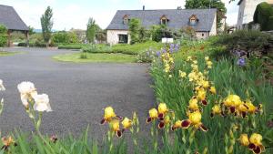 Le Mazet D'Olt photo 6