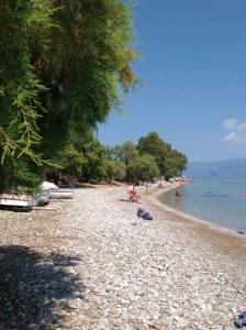 Secret Garden Achaia Greece