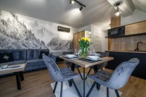 APARTAMENT BIAŁKA TATRZAŃSKA TATRY SUN&SNOW - Nowa Biała