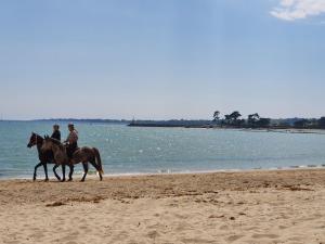 Appartements Vacances O Loch - Studio a 200 metres de la plage - Le Cap Coz Fouesnant : photos des chambres