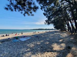 Appartements Vacances O Loch - Studio a 200 metres de la plage - Le Cap Coz Fouesnant : photos des chambres