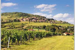 Appartements Superbe appartement cosy au coeur du beaujolais : photos des chambres