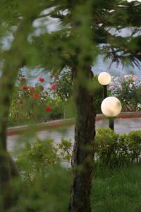 Villa Irini-Irene's House Chania Greece
