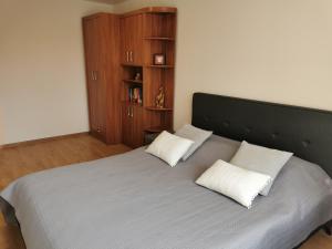 Central Apartments Nojus