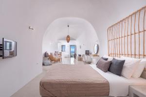 Exclusive Plan Suites Santorini Greece