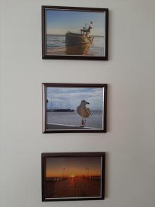 Apartament Marlena