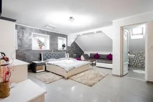 Cazare MOLDI - regim hotelier - 坎普朗莫道尼斯