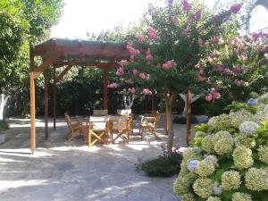 Margarita Apartments