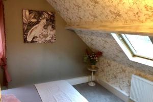 Appartements Gite PIPIOU ETAPLES 2 a 4 Personnes : photos des chambres