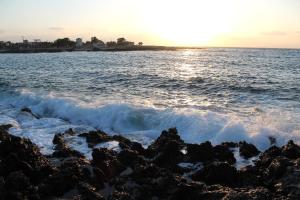 Alexis Apartments Chania Greece