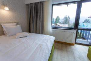 Pension Carmen`s Mansion A