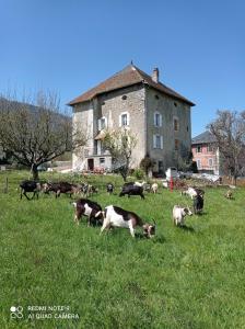 Maisons de vacances La Tour de Seythenex : Maison de Vacances