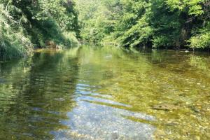 Maisons de vacances Character filled house overlooking the River Cesse : photos des chambres