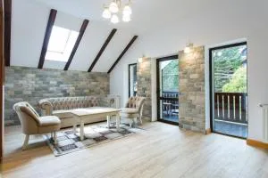 Pension Carmen`s Mansion A - Runcu