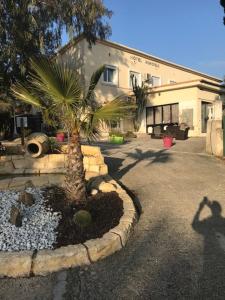 Hôtel Les Mimosas photo 6