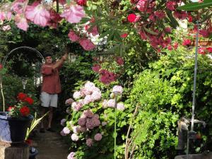 Croatia Zadar Borik Garten Apartment for family EG 1