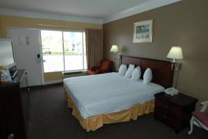 Deluxe Queen Room room in Ambassadors Inn & Suites