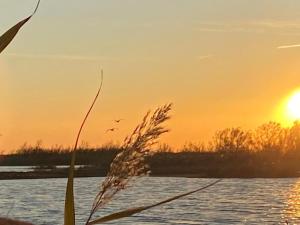 Appartements Mas Constantin : photos des chambres