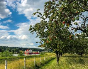 Maison normande au bord de Seine, Le Verger de Pacôme