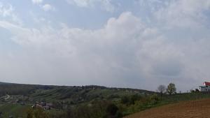 Kellerstöckl EisenbergPinka Weiner