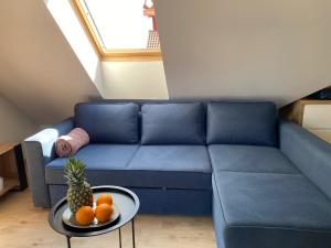Apartament w Dębkach