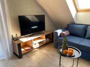 Apartament w Dębkach