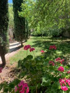 Appartements Gite de caractere 72m2 : photos des chambres