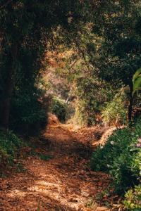 Piccolo Cosy Cottage with views