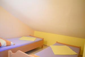 Apartments Pine Diver