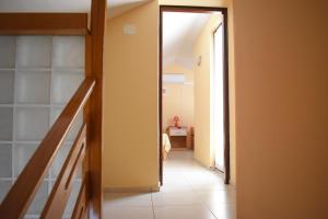 Apartments Pine Diver