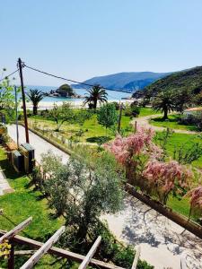 2 Steps from the Sea frontbeach Villa