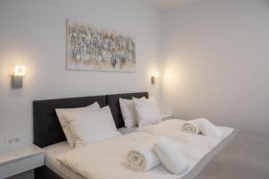 Luxury Studios & Room Five