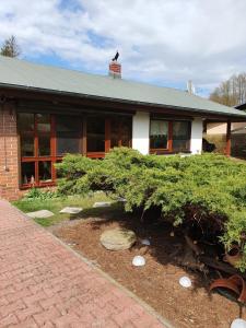 Ferienhaus am Schwielochsee