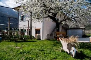 B&B La Fosina - 圣米凯莱亚拉迪杰