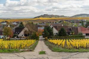 Maisons de vacances 