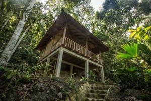 Chirapa Manta Amazon Lodge