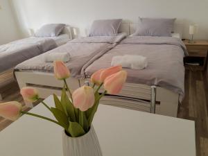 Marina - Ubytování bez kategorie ve městě Golubac