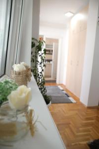 Apartman Rastko