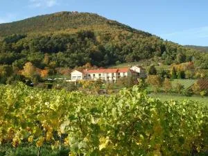 阿尔特瑞比斯查勒霍弗酒店 - Weyher