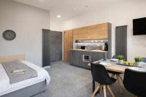 Vila Emona - Central Apartments - Free Parking 