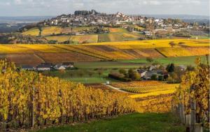 Maisons de vacances 