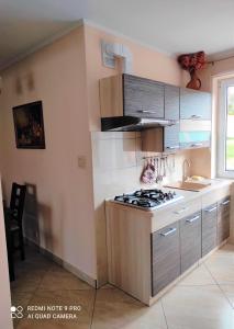 Apartament Bieszczady