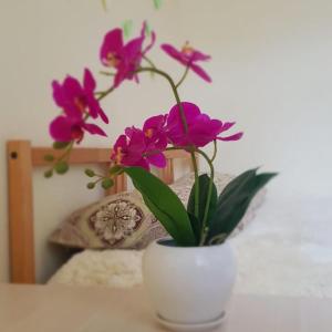 符拉迪沃斯托克友谊旅舍 Hostel Druzhba Agoda 网上最低价格保证 即时订房服务