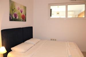 Kalamaki Plaza Apartments Zakynthos Greece