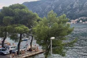 Garden Apartment- near sea 2