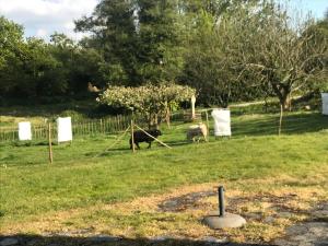 Maisons de vacances Gite de Kerfenefas : photos des chambres